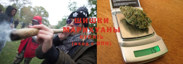 дмт Богородск