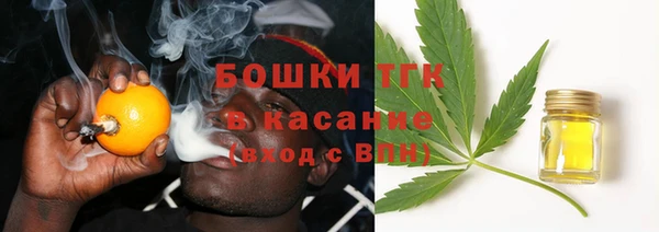 индика Богородицк
