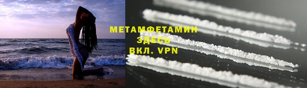 индика Богородицк