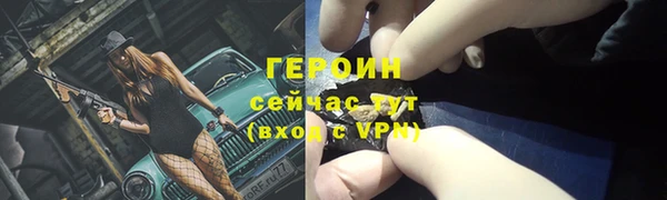 индика Богородицк