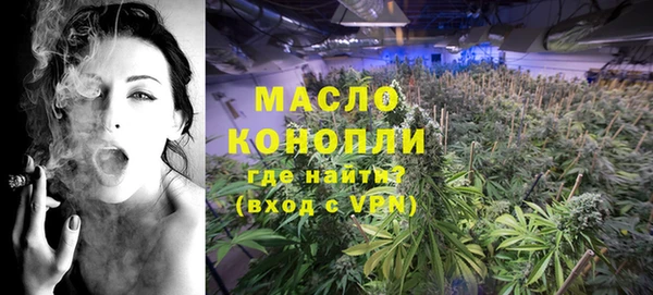 дмт Богородск