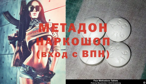 индика Богородицк