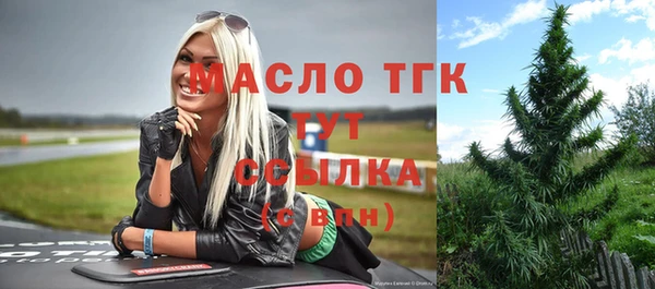 дмт Богородск