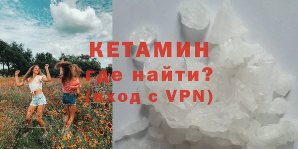 индика Богородицк