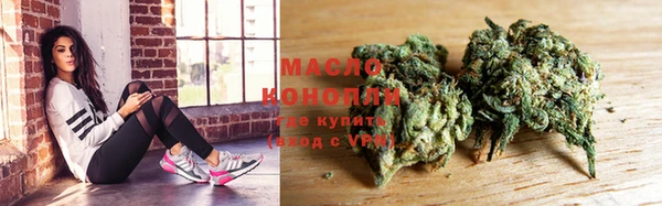 индика Богородицк