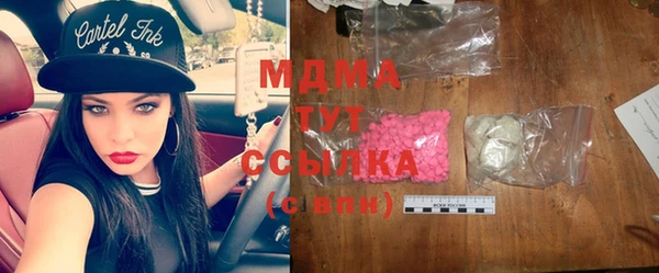 индика Богородицк