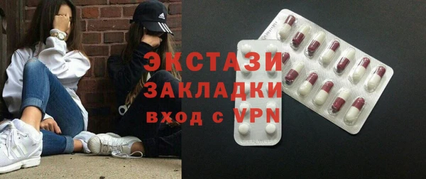 индика Богородицк