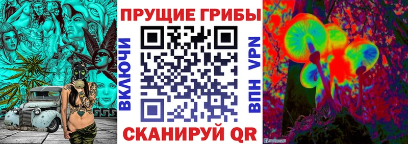 Псилоцибиновые грибы Psilocybe  Канск 
